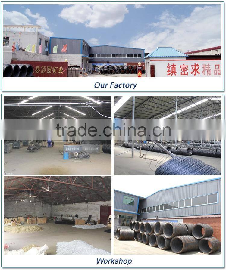 Cheap wholesale common nail concrete nails/ common nail for construction