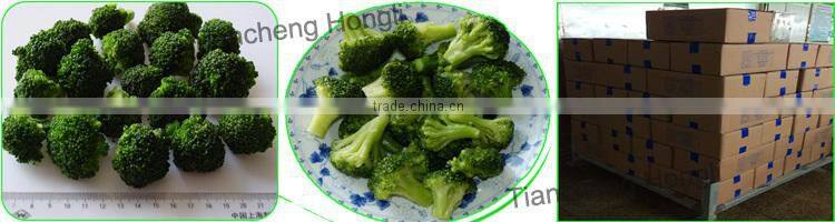 IQF Broccoli Wholesale