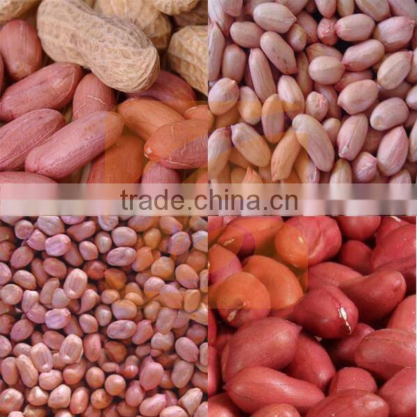 Stainless Steel Easy Maintenance Complete Peanut Shelling Sieving Line