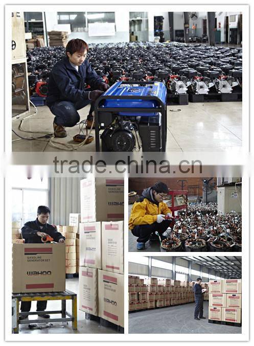 2014 new portable 5 kW LPG Generator (WH6500-X/LPG)