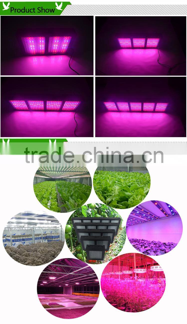 Hot selling energy saving led mushroom grow light PF-3X-288W with CE/ROHS