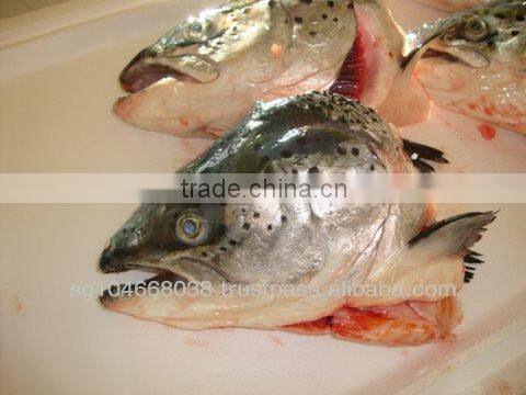 ATLANTIC SALMON HEADS