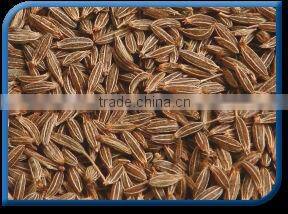 Cumin Seed Sortex Clean