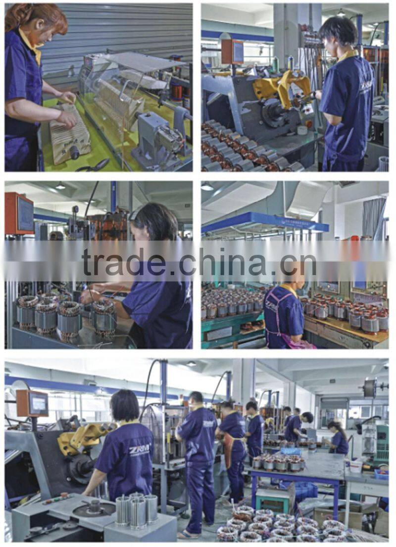 YCL series single-phase dc brushless electric motor