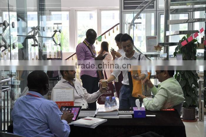 Ceramic Material and Floor Mounted Installation Type types of toilet