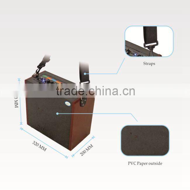 2 inch subwoofer speaker,mic audio subwoofer 12