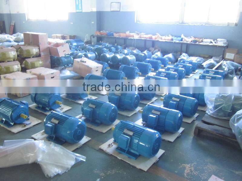 AC electric motor 1kw 127V 220v 50Hz 60Hz Manufacturer