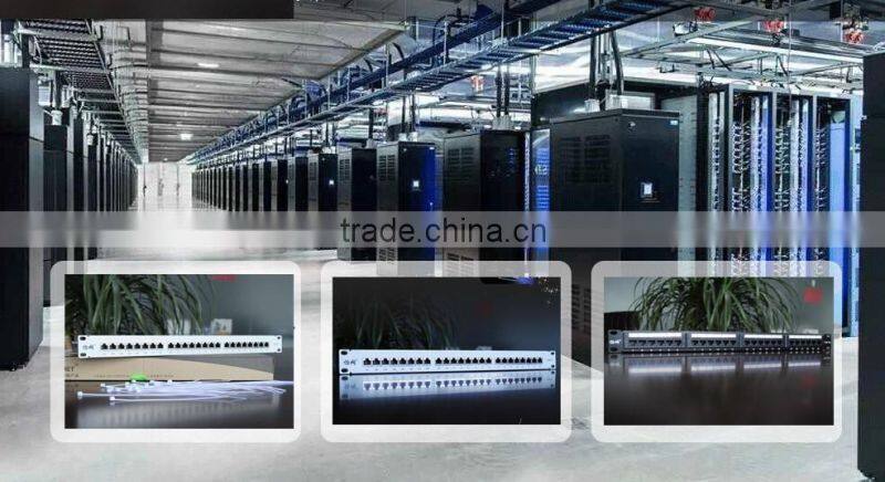 Hot Sale Wall Mount Utp Cat5e/Cat6 Patch Panel 12 24 Port