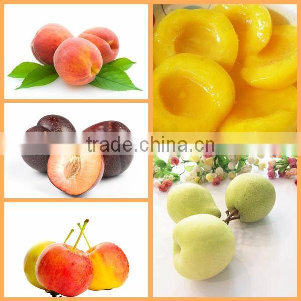 Industrial fruit corer peach corer