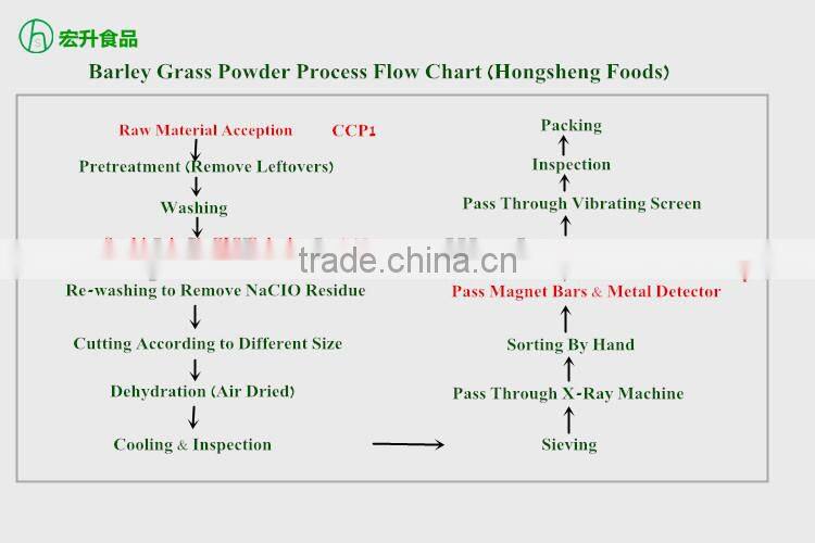 Fresh Air Dried Barley Grass Powder 100 Mesh