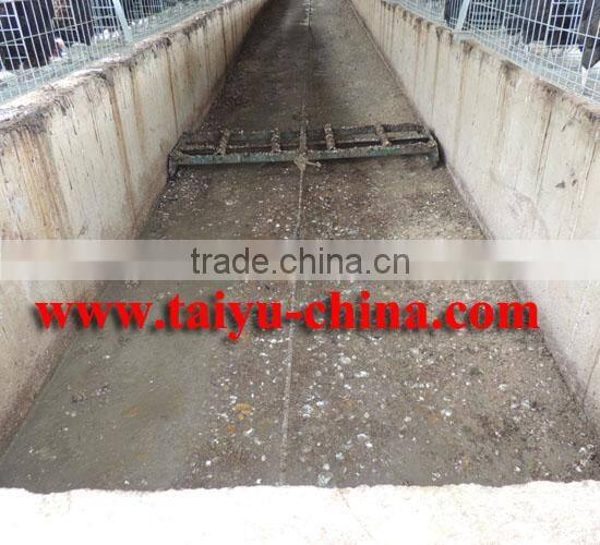 TAIYU Automatic Chicken Manure Removal System