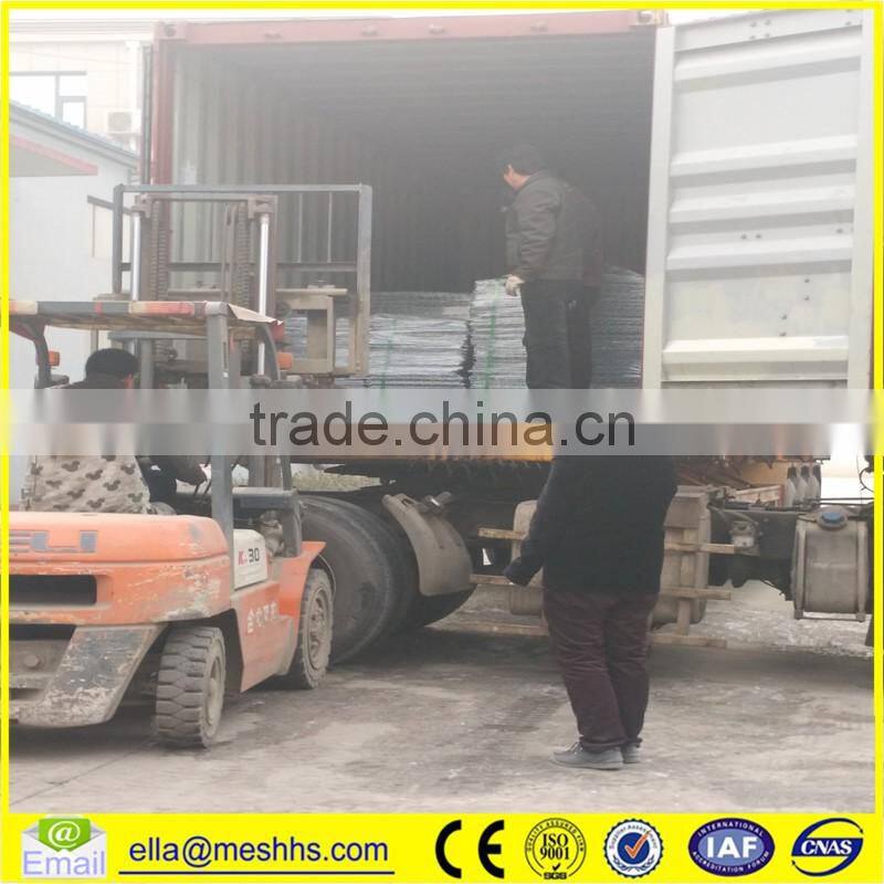 Professional Welded Gabion Box/Gabion Boxed