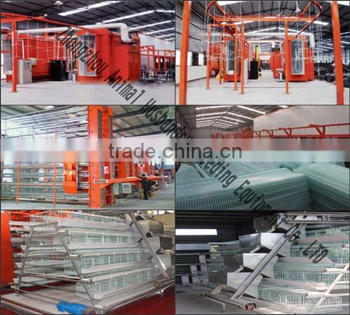 chicken cage batterie