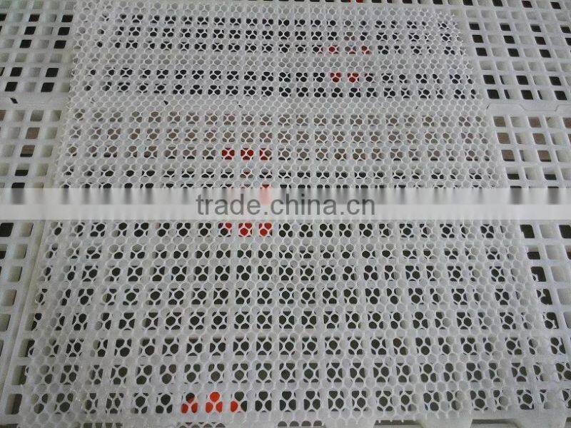 Plastic flat mesh for poultry