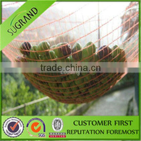 HDPE Agriculture Fruit/Olive Net/Harvest Nets/Collection/Collecting Net