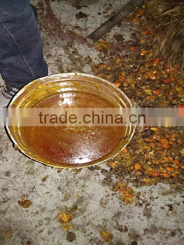 2017 the newest best seller family type oil pressing equipment