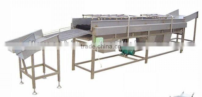 Potato Washing Machine