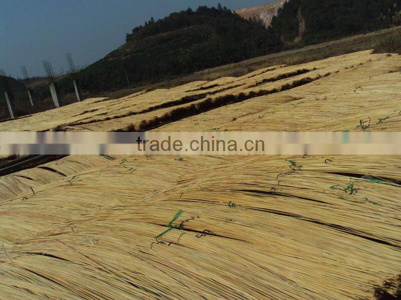 Raw Bamboo Cane Export