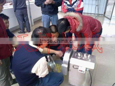 Guangxi Y. L. Vegetable Processing Factory