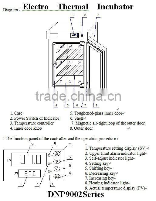 DNP-9022 Electric Thermostatic Incubator