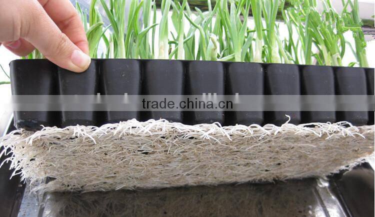 Custom PS Reusable Plastic Plant Seed Starting Grow Trays for Propagation