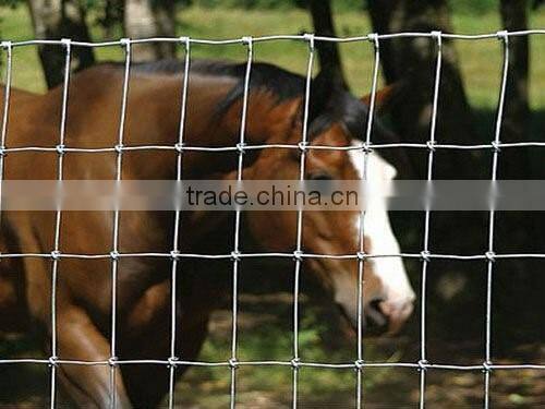 China High Tensile Galvanised Hinge Joint Cattle Farm Fence For Grassland