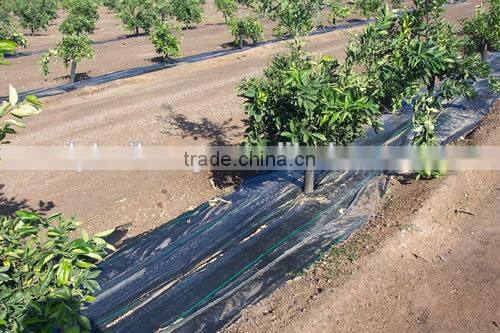 anti-uv weed mat /ground cover for agriculture