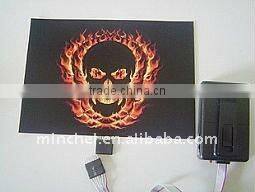 beautiful and colorful flashing el clothing