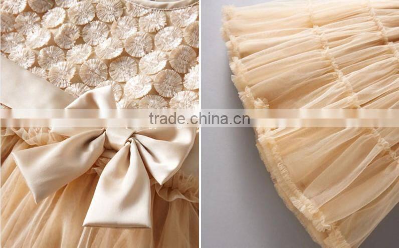 girl Princess dress party dress