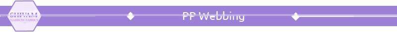 Fine Finishing Premium Quality PP Webbing at Factory Price