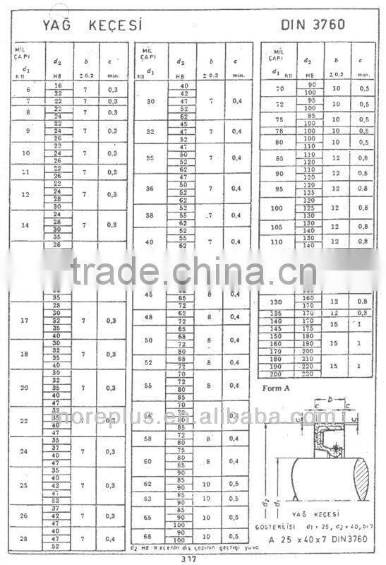 Made in Taiwan Radial Shaft Sealing Ring DIN3760 Oil Seal