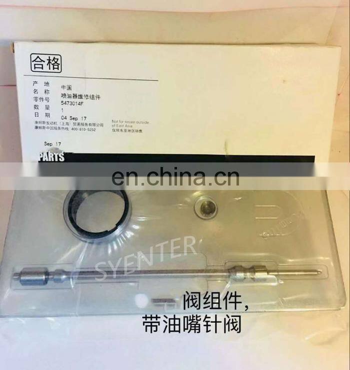 ISG GTL Engine Fuel Injector Repair Kit Rebuilt Parts 5473014 5473254 for 4307454