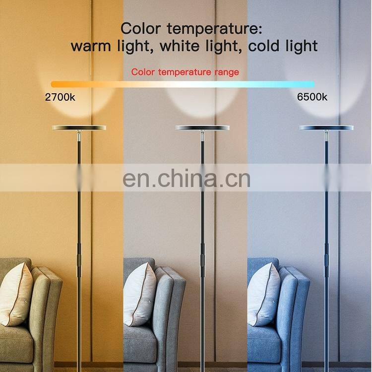 Modern Nordic Led RGB Living Room Floor Lamp