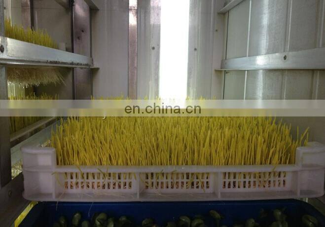 seed sprout machine barley sprout machine