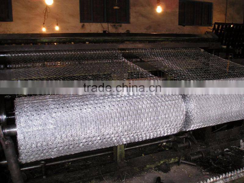 anping hexagonal mesh