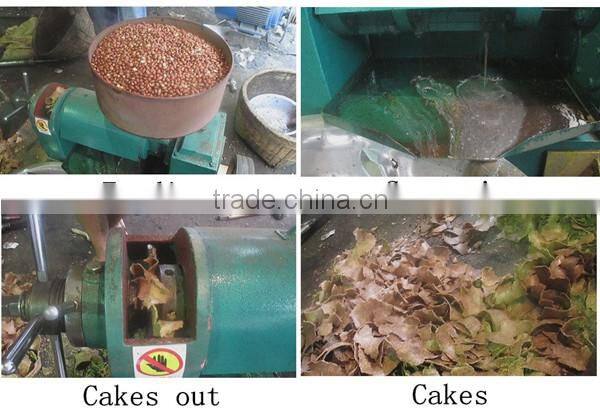 Advanced high output mini screw oil press for soybee YZYX120J