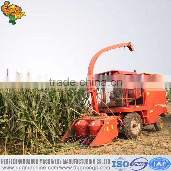 4QZ-1800 Self-propelled Corn silage machinery for sale