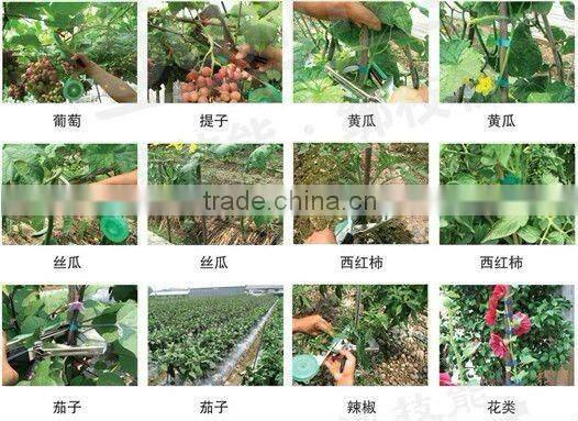 braid holder for grape flowers with no flotsam