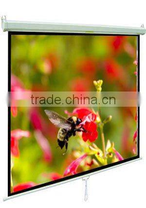 Projector Screens / Manual Projector Screens