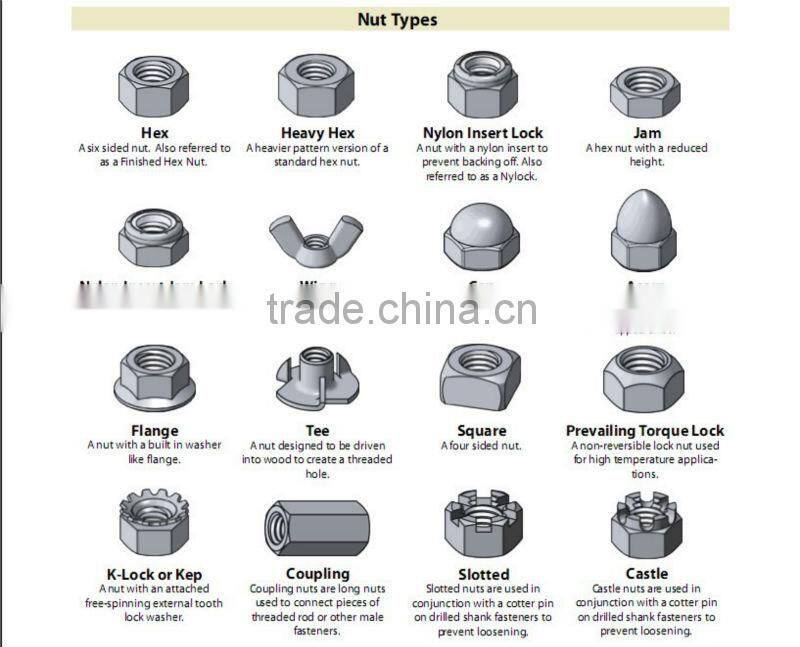 Hot sale Square type nuts for fastener