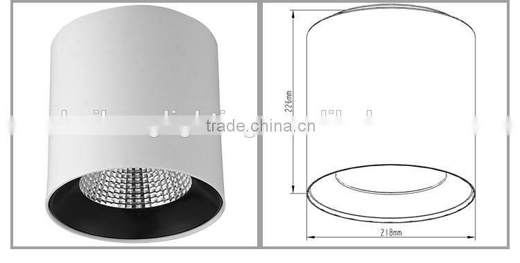Alibaba 30W commercial led down light for jewelry/coffee shop/hotel