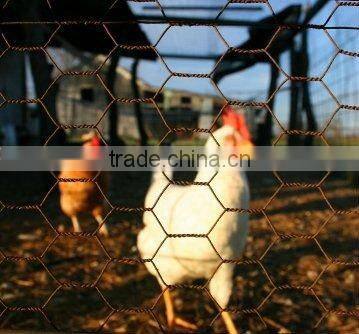 HOT SALE fish cage hexagonal wire mesh factory