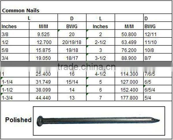 Bulk Different Size Blue Shoe Tack Nail