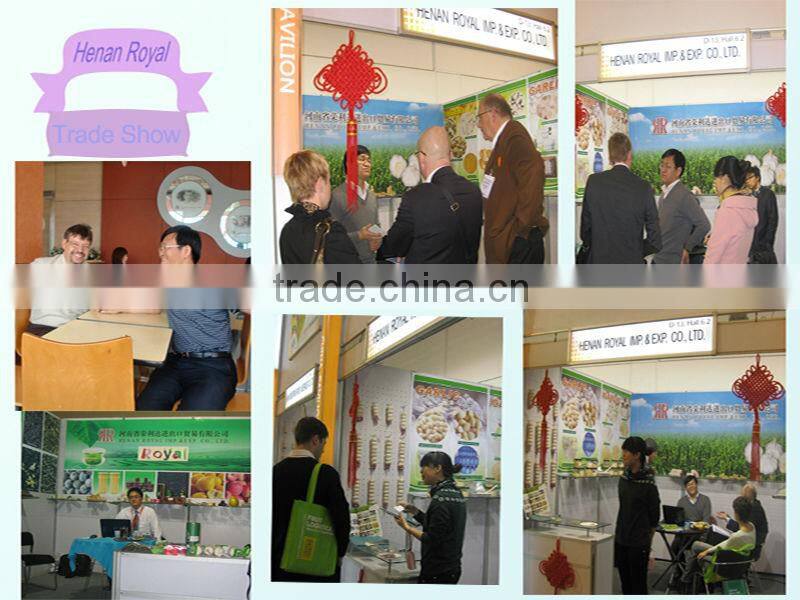 JInxiang China Fesh Pretty Garlic