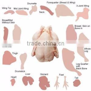 HALAL FROZEN WHOLE WINGS FEET PAWS, BREASTS LEG QUARTERS CHICKEN FEET - BUY HALAL FROZEN CHICKEN
