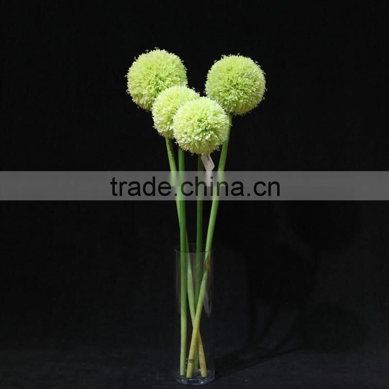 new products 2016 innovative product fistular onion flower with different size