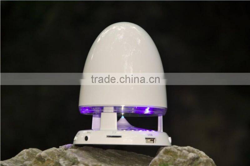 Bullet bluetooth speaker with FM and Voice reminder