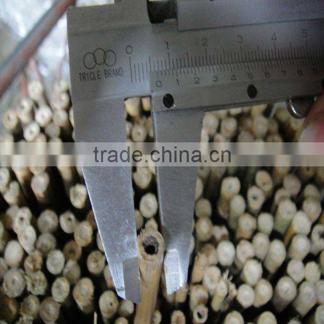 bamboo used in agricultural products