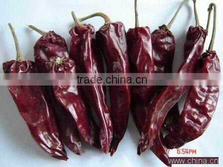 Chinese Dried Chili/chili peppers,American Red Chili