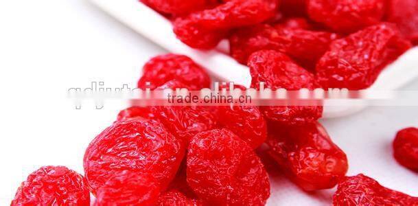 Top Quality Organic Dried Tomato